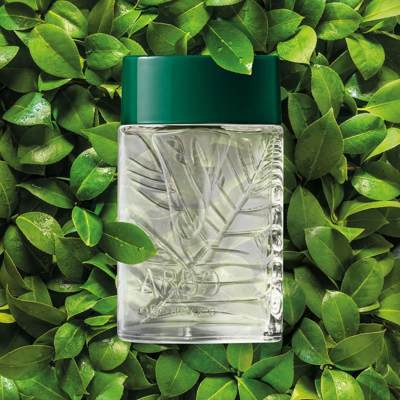 O Boticário Arbo Perfume Colônia